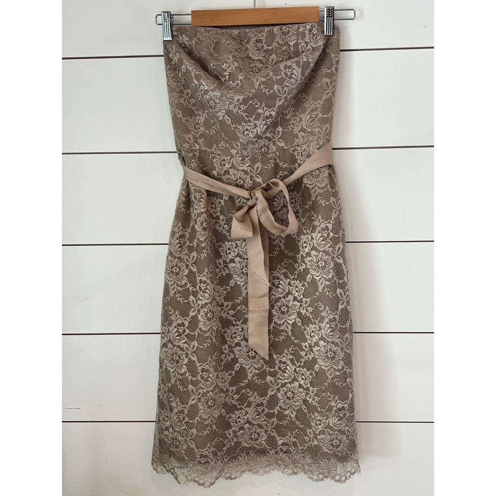 NWT Banana Republic Lace Strapless Dress/ quiet luxury romantic soft girl